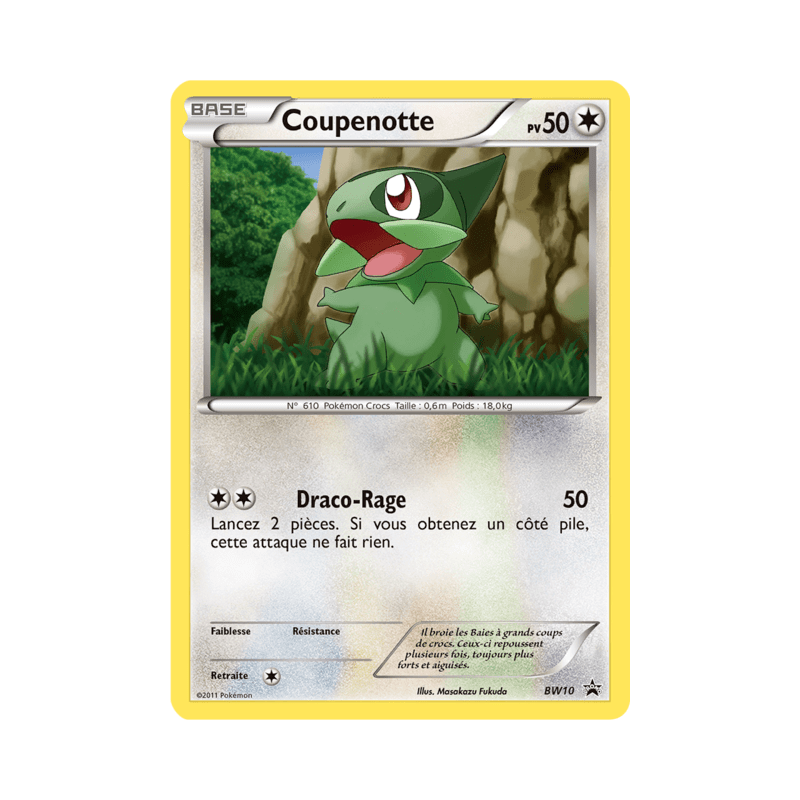 pokemon-tcg-10-coupenotte-black-white-promos-black-white-bwp