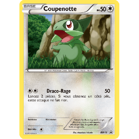 pokemon-tcg-10-coupenotte-black-white-promos-black-white-bwp