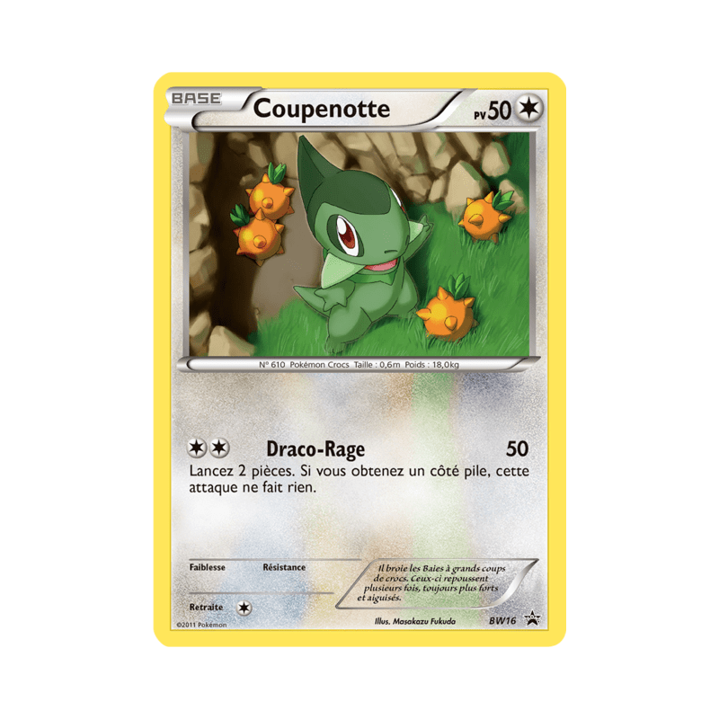 pokemon-tcg-16-coupenotte-black-white-promos-black-white-bwp