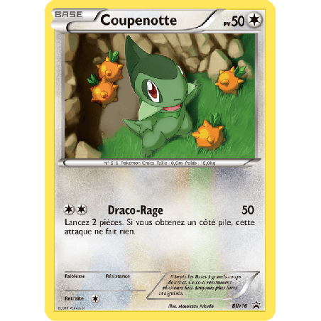 pokemon-tcg-16-coupenotte-black-white-promos-black-white-bwp
