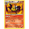 pokemon-tcg-21-roitiflam-black-white-promos-black-white-bwp