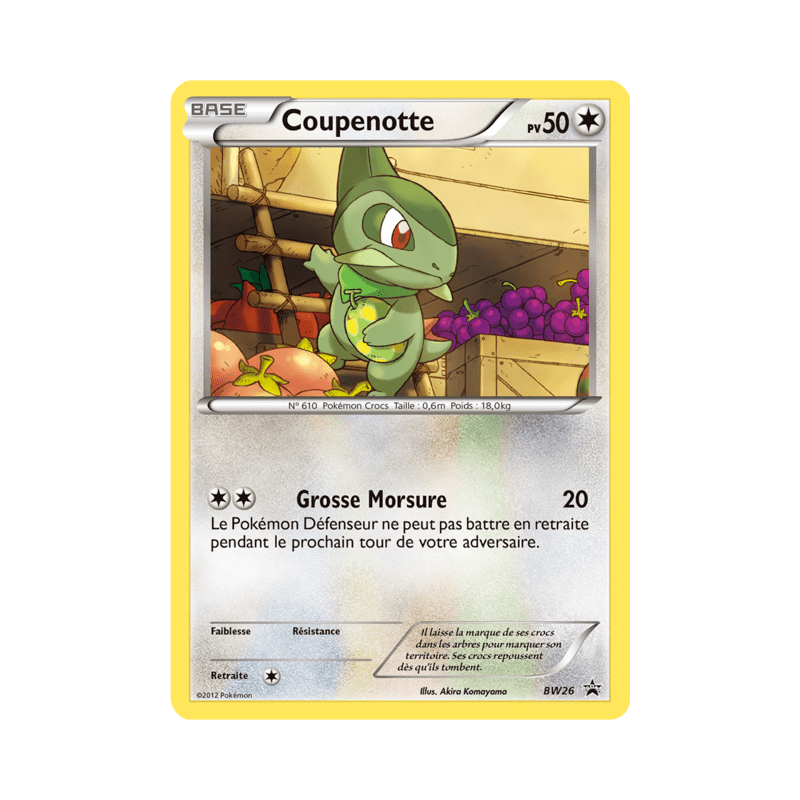pokemon-tcg-26-coupenotte-black-white-promos-black-white-bwp