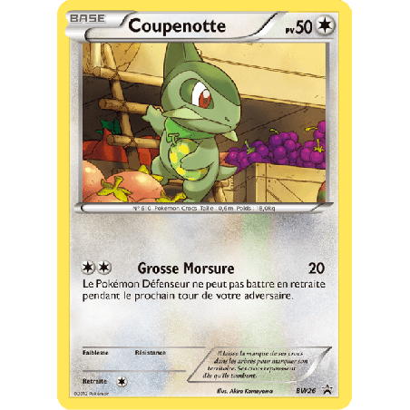 pokemon-tcg-26-coupenotte-black-white-promos-black-white-bwp