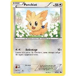 pokemon-tcg-52-ponchiot-black-white-promos-black-white-bwp
