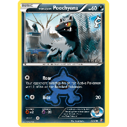 pokemon-tcg-16-34-team-aqua-s-poochyena-common-double-crisis-dcr-xy