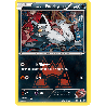 pokemon-tcg-17-34-team-magma-s-poochyena-common-double-crisis-dcr-xy