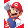 panini-tcg-019-mario-close-up-card-super-mario-trading-card