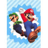 panini-tcg-109-mario-luigi-group-card-super-mario-trading-card