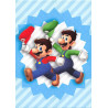 panini-tcg-114-mario-luigi-group-card-super-mario-trading-card