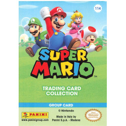 panini-tcg-114-mario-luigi-group-card-super-mario-trading-card