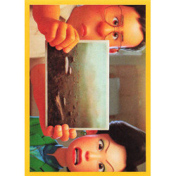 panini-tcg-43-alerte-rouge-turning-red-stickers-red-disney-pixar