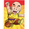 panini-tcg-d28-krillin-commune-dragon-ball-universal-tc