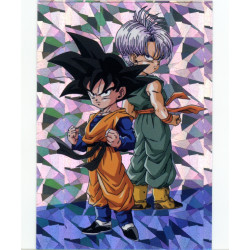 panini-tcg-z13-goten-kid-trunks-crystal-chard-card-dragon-ball-universal-tc