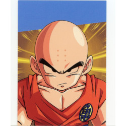 panini-tcg-z19-krillin-commune-dragon-ball-universal-tc
