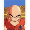 panini-tcg-z19-krillin-commune-dragon-ball-universal-tc