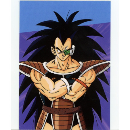 panini-tcg-z20-raditz-commune-dragon-ball-universal-tc