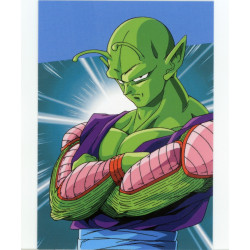 panini-tcg-z40-piccolo-commune-dragon-ball-universal-tc