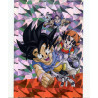 panini-tcg-g12-group-11-crystal-chard-card-dragon-ball-universal-tc