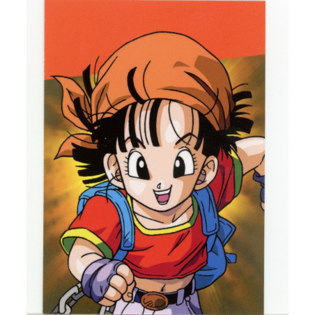 panini-tcg-g17-pan-commune-dragon-ball-universal-tc
