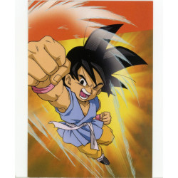 panini-tcg-g30-goku-commune-dragon-ball-universal-tc