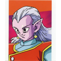 panini-tcg-g60-group-12-commune-dragon-ball-universal-tc