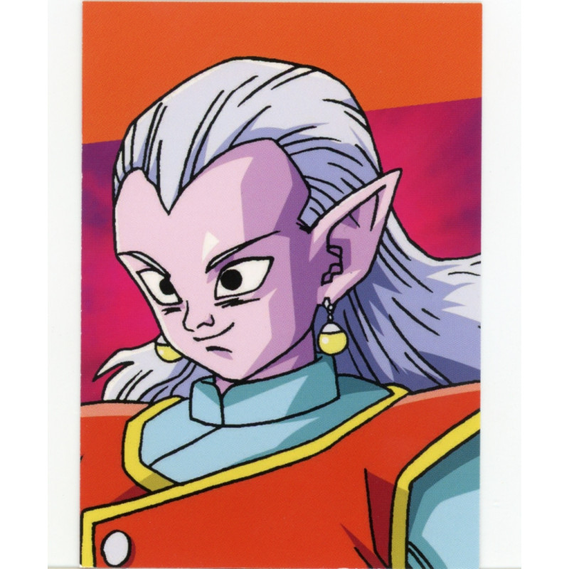 panini-tcg-g60-group-12-commune-dragon-ball-universal-tc