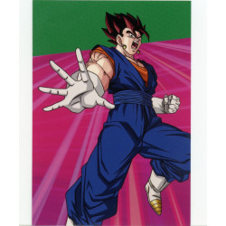 panini-tcg-s43-vegito-commune-dragon-ball-universal-tc