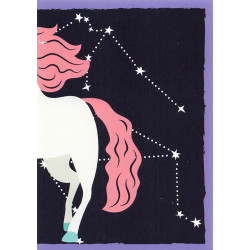 panini-tcg-105-stickers-unicorns-stickers-unicorns