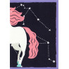 panini-tcg-105-stickers-unicorns-stickers-unicorns