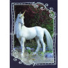 panini-tcg-c10-cards-unicorns-trading-cards-unicorns