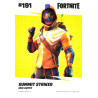 panini-tcg-carte-n-191-191-summit-striker-epic-outfit-fornite-serie-3