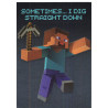 panini-tcg-6-sometimes-i-dig-straight-down-hero-card-minecraft-2