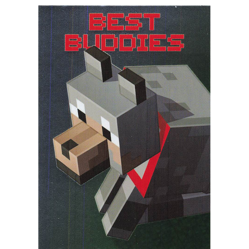 panini-tcg-24-best-buddies-hero-card-minecraft-2