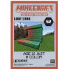 panini-tcg-52-age-is-just-a-color-loot-card-minecraft-2