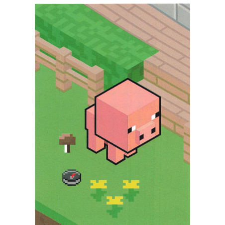 panini-tcg-61-house-7-scene-card-minecraft-2