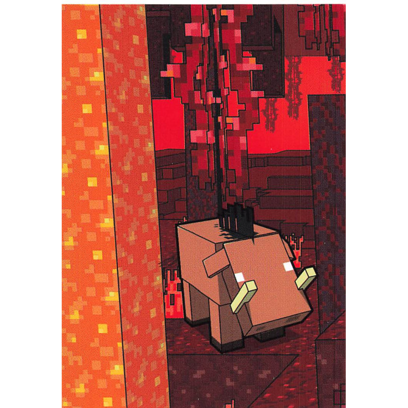panini-tcg-139-nether-1-biome-card-minecraft-2