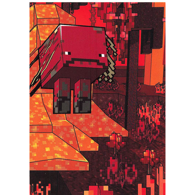 panini-tcg-141-nether-3-biome-card-minecraft-2