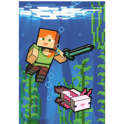 panini-tcg-152-underwater-2-biome-card-minecraft-2