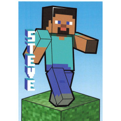 panini-tcg-154-steve-block-card-minecraft-2