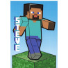 panini-tcg-154-steve-block-card-minecraft-2