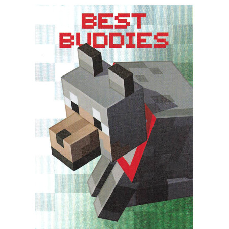 panini-tcg-15-bad-omen-hero-card-minecraft-2