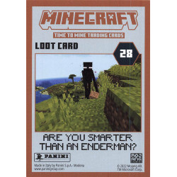 panini-tcg-17-hrm-hero-card-minecraft-2