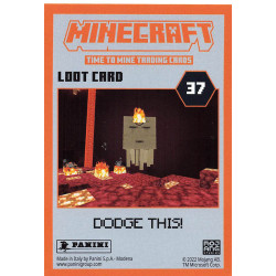 panini-tcg-24-best-buddies-hero-card-minecraft-2