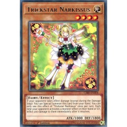 CIBR-EN004 Trickstar Narkissus