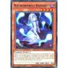 yu-gi-oh-tcg-mzmu-en088-r-necroworld-banshee-maze-of-muertos