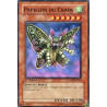 yu-gi-oh-tcg-anpr-fr023-c-papillon-du-chaos-ancienne-prophetie