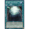 yu-gi-oh-tcg-anpr-fr048-sr-foret-ancienne-maze-of-muertos