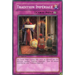 yu-gi-oh-tcg-anpr-fr067-c-tradition-imperiale-maze-of-muertos
