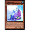 yu-gi-oh-tcg-ap02-fr007-sr-barbotine-paquet-astral-deux