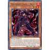 yu-gi-oh-tcg-chim-en008-r-unchained-twins-aruha-chaos-impact